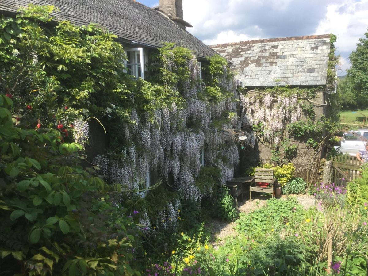 Bed and Breakfast Corndonford Farm Newton Abbot Exterior foto